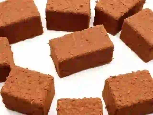 Coco peat compressed blocks — coconut coir pith for horticulture